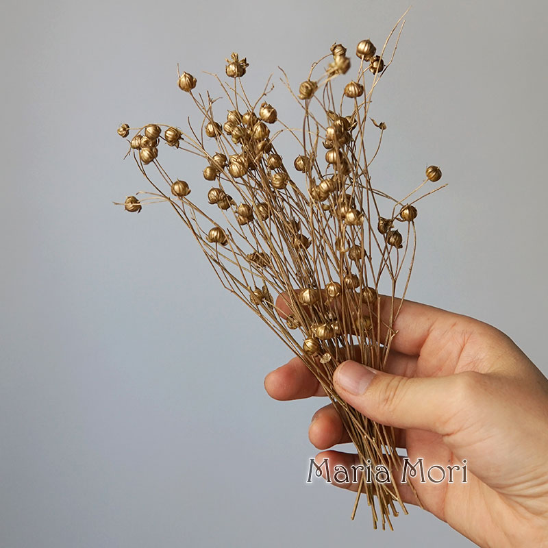 5g/Fagioli di Lino Conservati, - Holiday Candle Set recensione e prezzo